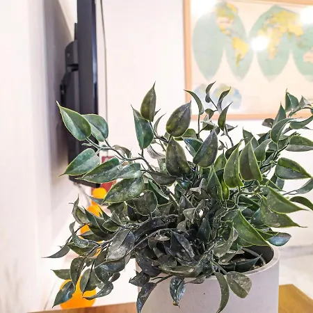 Concepcion Plaza * La Laguna (Tenerife)