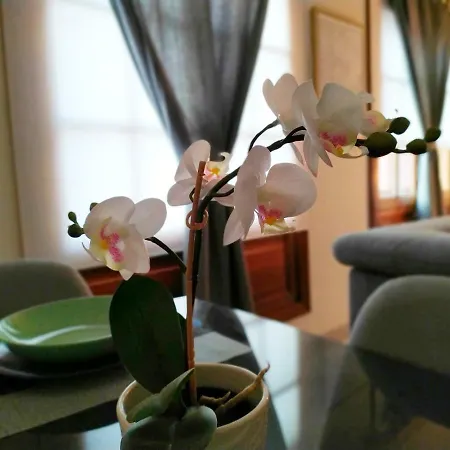 Concepcion Plaza Appartement