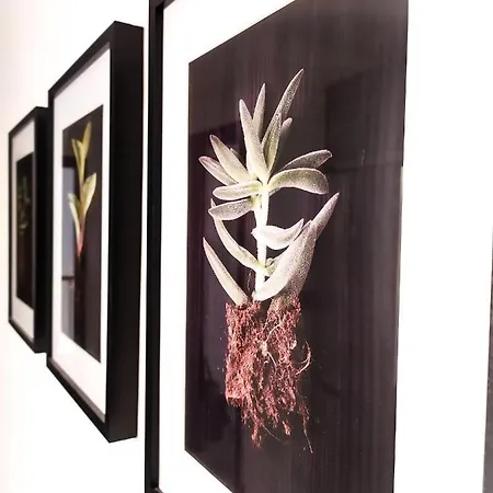 Concepcion Plaza Apartmán *