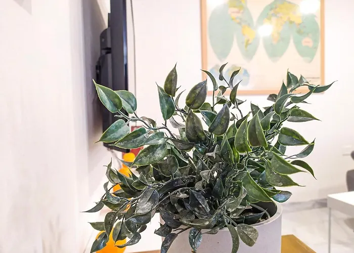 Concepcion Plaza * La Laguna (Tenerife)