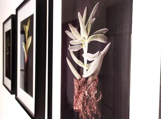 Concepción Plaza Apartamento *